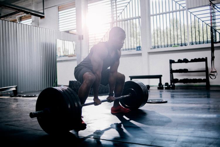 Krafttraining für Anfänger Foto